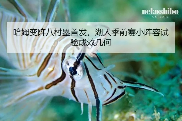 ha-mu-bian-zhen-ba-cun-lei-shou-fa-hu-ren-ji-qian-sai-xiao-zhen-rong-shi-yan-cheng-xiao-ji-he-1-863.jpg